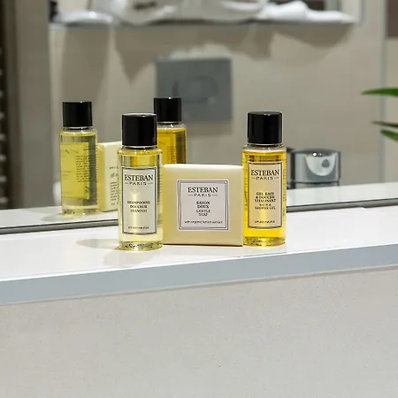 Montbriand - Ancien Alixia Hotel Antony